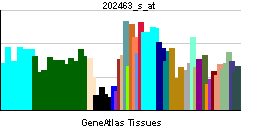 PBB GE MBD3 202463 s at tn.png