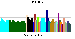 PBB GE MMP16 208166 at tn.png
