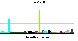 PBB GE EPOR 37986 at tn.png