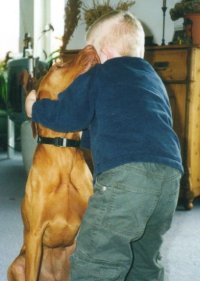 Therapiehund.jpg