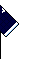 Kit right arm racing2025a.png