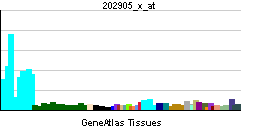 PBB GE NBN 202905 x at tn.png