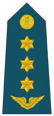 Coronel De Avación (Colonel).gif