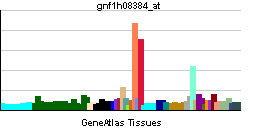 PBB GE CYGB gnf1h08384 at tn.png