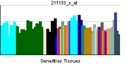 PBB GE TNFSF11 211153 s at tn.png