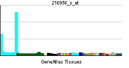 PBB GE ITGA2B 216956 s at tn.png