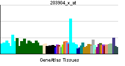 PBB GE CD82 203904 x at tn.png