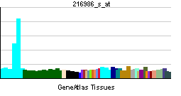 PBB GE IRF4 216986 s at tn.png