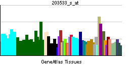 PBB GE CUL5 203533 s at tn.png