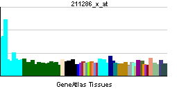 PBB GE CSF2RA 211286 x at tn.png