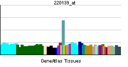 PBB GE DNMT3L 220139 at tn.png