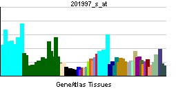 PBB GE SPEN 201997 s at tn.png