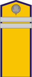 White Army OR-5 - Kuren Regiment (Taras Shevchenko) 1918-1919.png