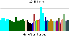 PBB GE NCOR2 208888 s at tn.png