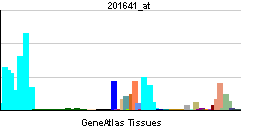 PBB GE BST2 201641 at tn.png