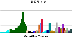 PBB GE DDR1 208779 x at tn.png