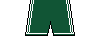 Kit shorts northireland1415a.png