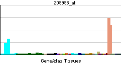 PBB GE ABCB1 209993 at tn.png