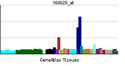 PBB GE MMP14 160020 at tn.png