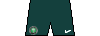 Kit shorts Nigeria2223a.png