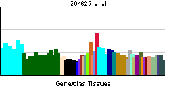 PBB GE ITGB3 204625 s at tn.png