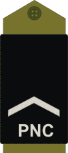 Congo-kinshasa-police 03.gif
