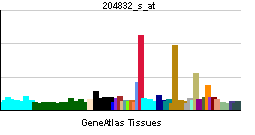PBB GE BMPR1A 204832 s at tn.png