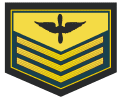 Sub-Oficial Inicial (Technical Sergeant).gif