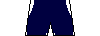 Kit shorts gelp2026a.png