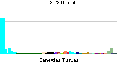 PBB GE CTSS 202901 x at tn.png