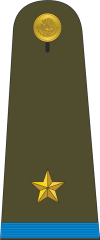Mexican Military Mayor.gif