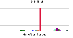 PBB GE SDC2 212158 at tn.png