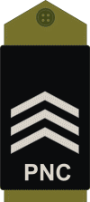 Congo-kinshasa-police 05.gif