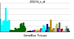PBB GE CUL4B 202214 s at tn.png