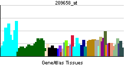 PBB GE CDC16 209658 at tn.png