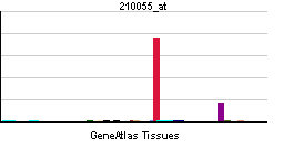 PBB GE TSHR 210055 at tn.png