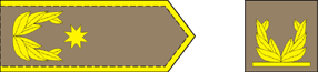 Brigaden general-arm.png