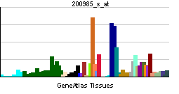 PBB GE CD59 200985 s at tn.png