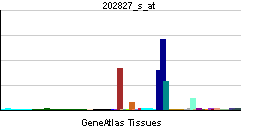 PBB GE MMP14 202827 s at tn.png