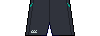 Kit shorts Irelandshorts19b.png