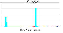 PBB GE CD40 205153 s at tn.png