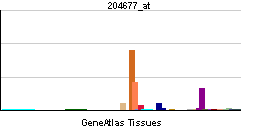 PBB GE CDH5 204677 at tn.png