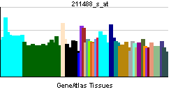 PBB GE ITGB8 211488 s at tn.png