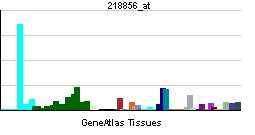 PBB GE TNFRSF21 218856 at tn.png