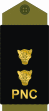 Congo-kinshasa-police 13.gif