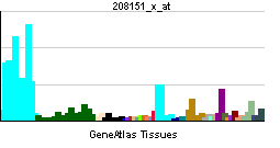 PBB GE DDX17 208151 x at tn.png