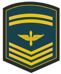 Sub-Oficial 1 (Senior Master Sergeant).gif