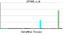 PBB GE CCR9 207445 s at tn.png