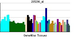 PBB GE RBL1 205296 at tn.png