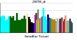 PBB GE NTF3 206706 at tn.png